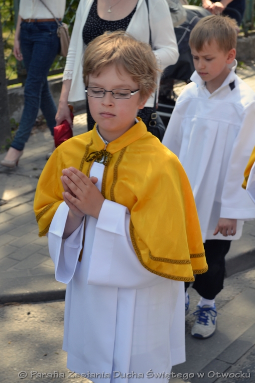 Procesja 063