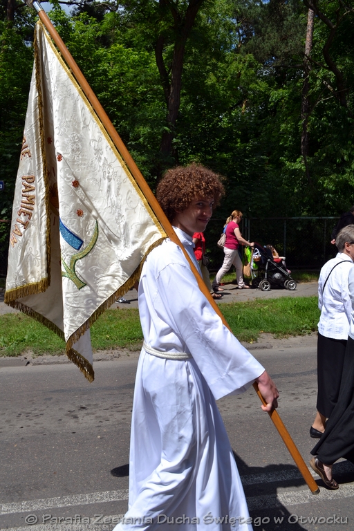Procesja 070